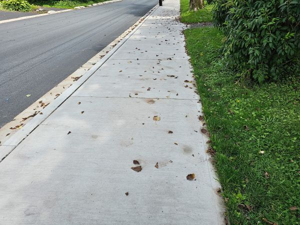 Sidewalk Renovation in Marco Island