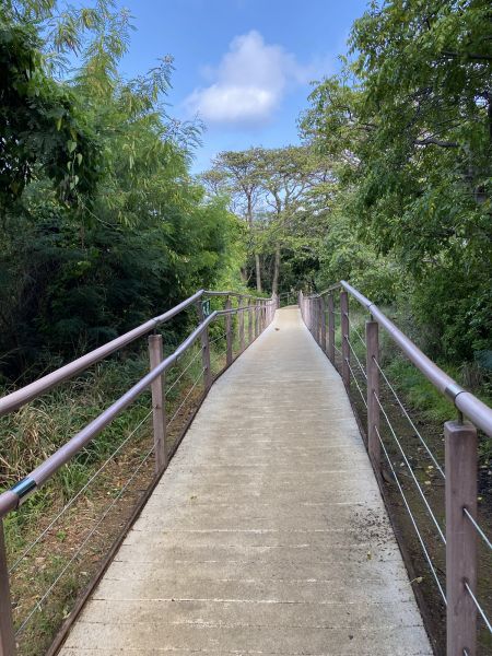 Footpath Construction in Marco Island